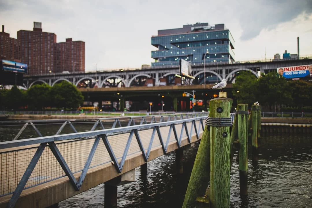 Cover Image for West Harlem Cultural Corridor 2026: Arts and Transit Growth