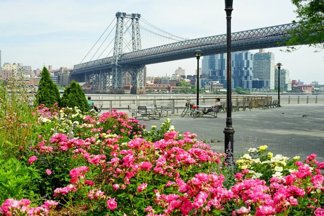 Cover Image for Manhattan Vertical Gardens 2026: Data-Driven Update