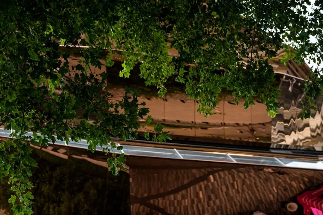 Cover Image for Broadway season 2026 and NYC gallery shows